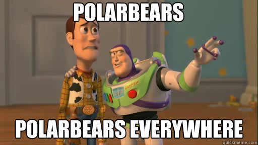 Polarbears Polarbears everywhere  Everywhere