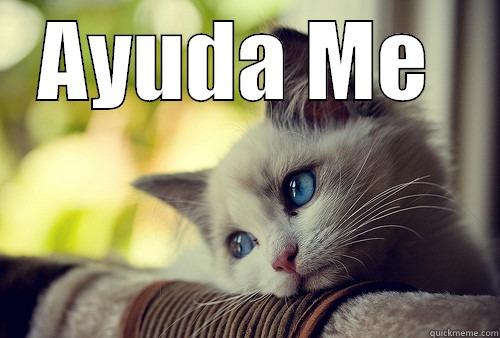 Ayuda Me - AYUDA ME   First World Problems Cat