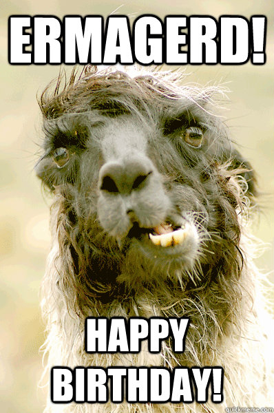 ERMAGERD! Happy Birthday! - ERMAGERD! Happy Birthday!  Misc