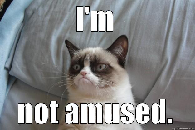 I'M NOT AMUSED. Grumpy Cat