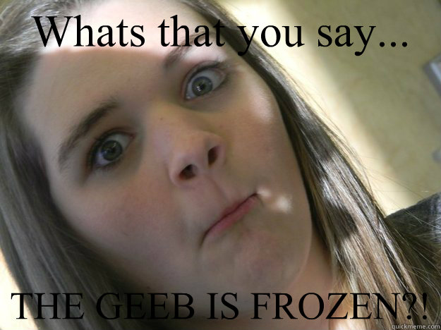 Whats that you say... THE GEEB IS FROZEN?!  