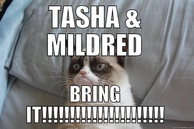 TASHA & MILDRED BRING IT!!!!!!!!!!!!!!!!!!!!!! Grumpy Cat