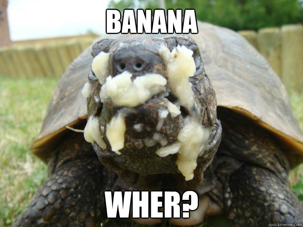 Banana wher?  