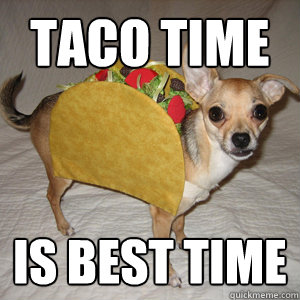 taco time is best time  Taco Dog