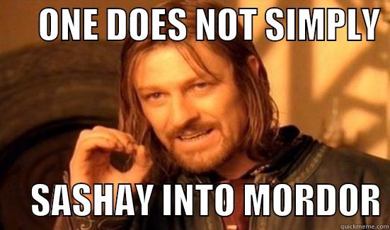 sashay into mordor -      ONE DOES NOT SIMPLY       SASHAY INTO MORDOR Boromir