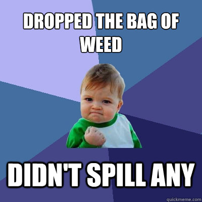 Dropped the bag of weed didn't spill any  Success Kid