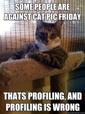 Some People are Against Cat Pic Friday Thats Profiling, and Profiling is wrong  The Most Interesting Cat in the World