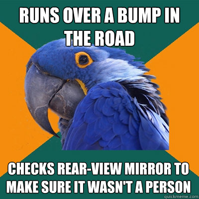 runs over a bump in the road checks rear-view mirror to make sure it wasn't a person  Paranoid Parrot