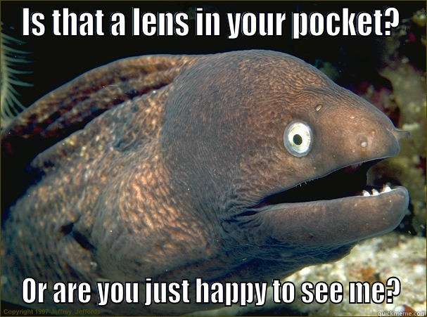 IS THAT A LENS IN YOUR POCKET? OR ARE YOU JUST HAPPY TO SEE ME? Bad Joke Eel
