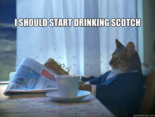 I should start drinking scotch   The One Percent Cat