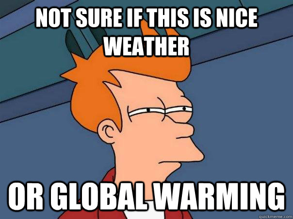 Not sure if this is nice weather Or global warming  Futurama Fry
