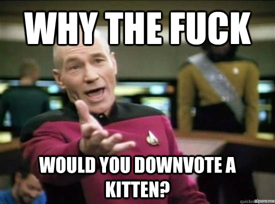 why the fuck would you downvote a kitten?  Annoyed Picard HD