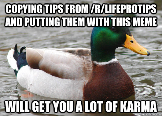 Copying tips from /r/LifeProTips and putting them with this meme will get you a lot of karma  Actual Advice Mallard
