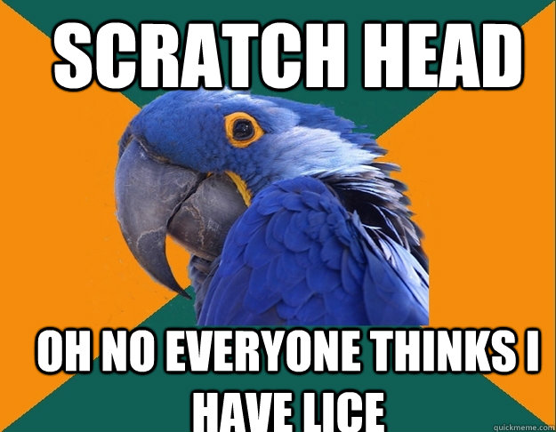 Scratch head oh no everyone thinks i have lice  Paranoid Parrot