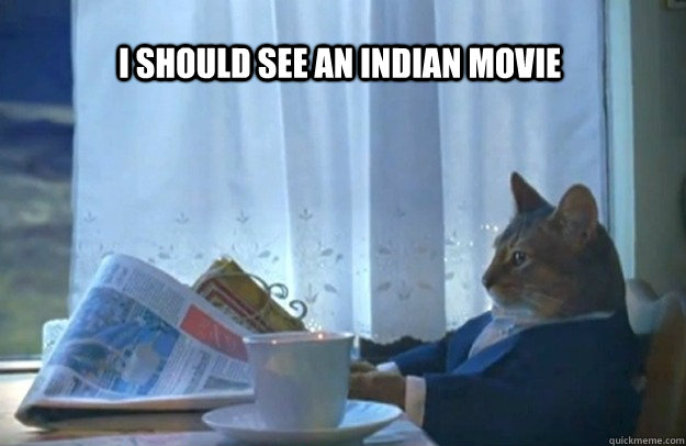 I should see an Indian movie   Sophisticated Cat