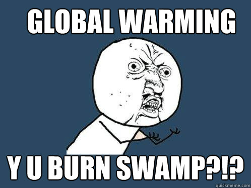 global warming y u burn swamp?!?  Y U No