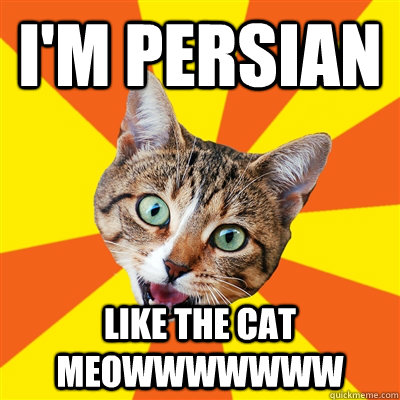 I'M PERSIAN Like the cat MEOWWWWWWW - I'M PERSIAN Like the cat MEOWWWWWWW  Bad Advice Cat