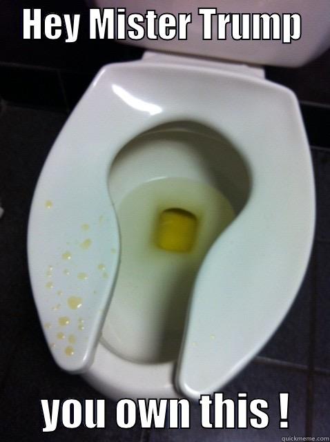    HEY MISTER TRUMP           YOU OWN THIS !     Misc