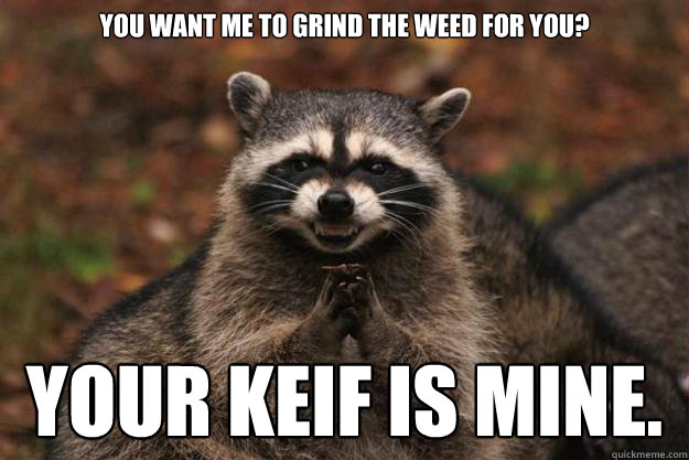 You want me to grind the weed for you? Your keif is mine.  Evil Plotting Raccoon