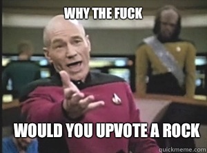 why the fuck Would you upvote a rock - why the fuck Would you upvote a rock  Annoyed Picard
