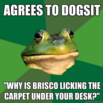 Agrees to dogsit 