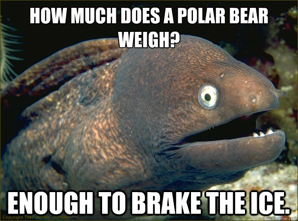 How much does a Polar bear weigh? enough to brake the ice.  Bad Joke Eel