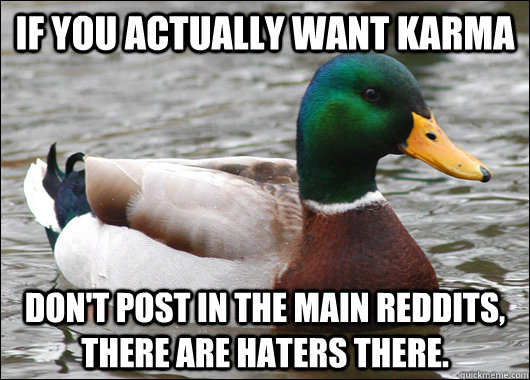 If you actually want Karma Don't post in the main reddits, there are haters there.  Actual Advice Mallard