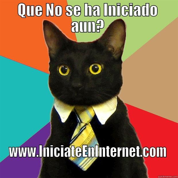 QUE NO SE HA INICIADO AUN? WWW.INICIATEENINTERNET.COM Business Cat