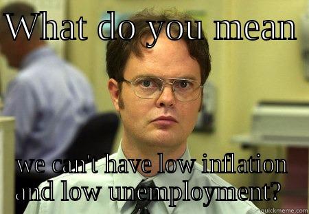 What do you mean we can't have low inflation and low unemployment?  - WHAT DO YOU MEAN  WE CAN'T HAVE LOW INFLATION AND LOW UNEMPLOYMENT?  Schrute