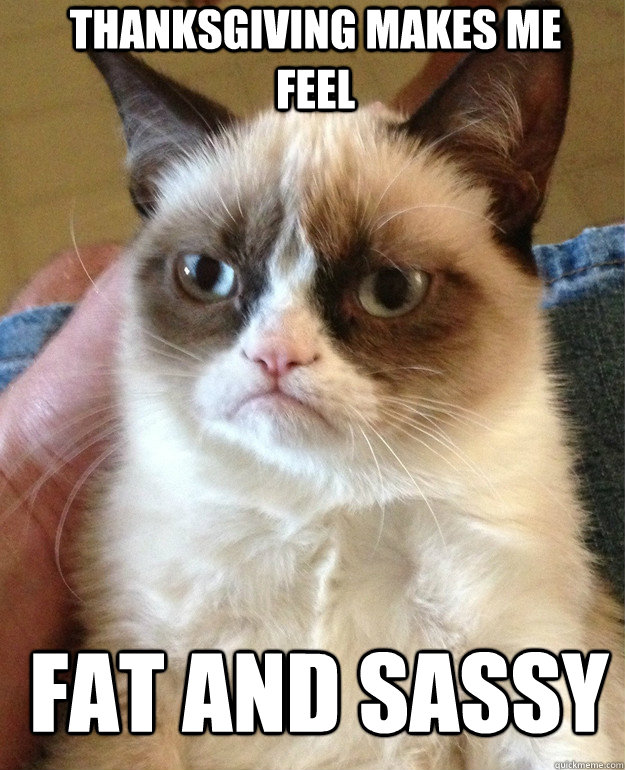 Thanksgiving makes me feel fat and sassy - Thanksgiving makes me feel fat and sassy  Grumpy Cat