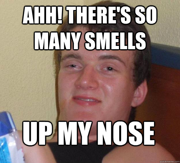 Ahh! There's so many smells Up my nose  10 Guy