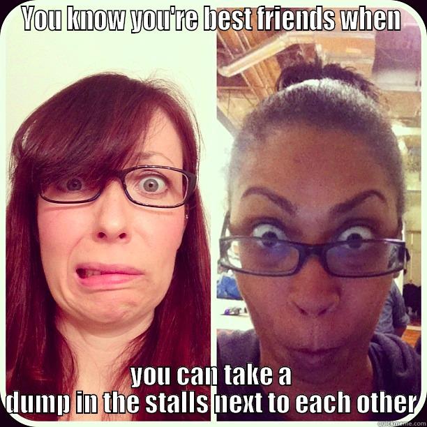 YOU KNOW YOU'RE BEST FRIENDS WHEN YOU CAN TAKE A DUMP IN THE STALLS NEXT TO EACH OTHER Misc