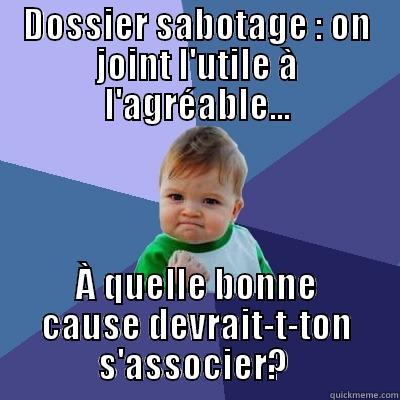 DOSSIER SABOTAGE : ON JOINT L'UTILE À L'AGRÉABLE... À QUELLE BONNE CAUSE DEVRAIT-T-TON S'ASSOCIER?  Success Kid