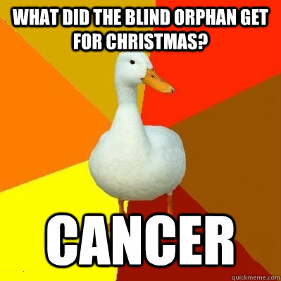 what did the blind orphan get for christmas? cancer  Tech Impaired Duck