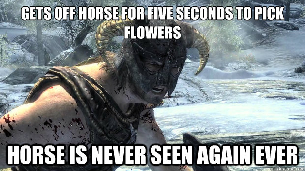Gets off horse for five seconds to pick flowers Horse is never seen again ever - Gets off horse for five seconds to pick flowers Horse is never seen again ever  Dragonborn Problems