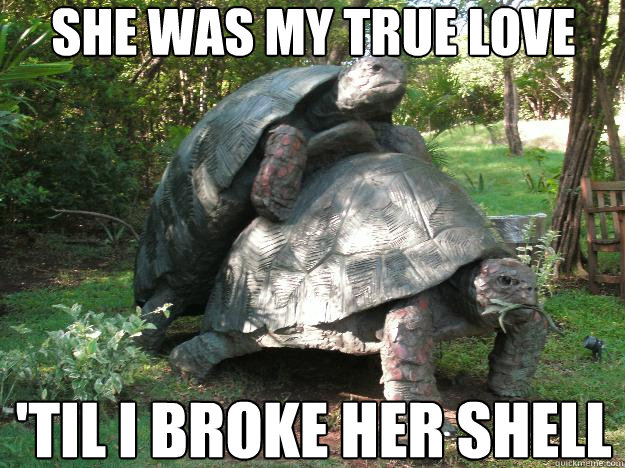 She was my true love 'til I broke her shell  2 Turtles Humping