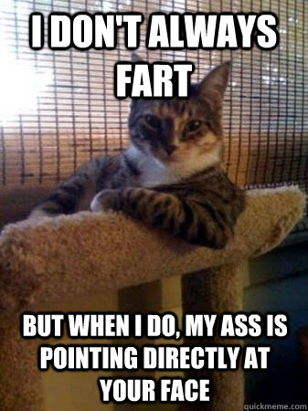 I don't always fart but when I do, my ass is pointing directly at your face  The Most Interesting Cat in the World
