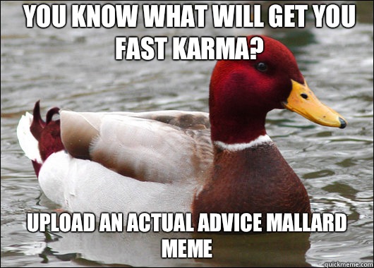 You know what will get you fast karma? Upload an actual advice mallard meme  Malicious Advice Mallard