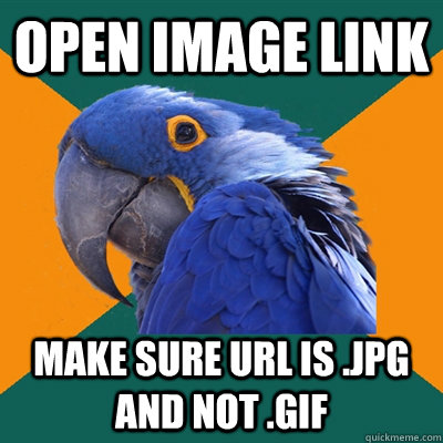 open image link make sure url is .jpg and not .gif  Paranoid Parrot
