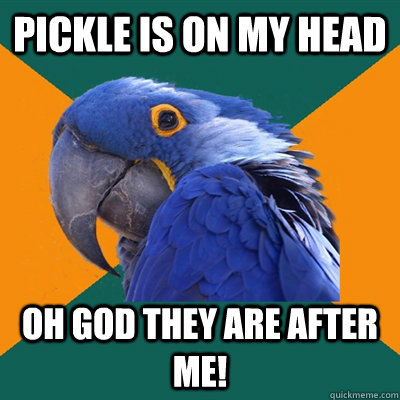 Pickle is on my head OH GOD THEY ARE AFTER ME!  Paranoid Parrot