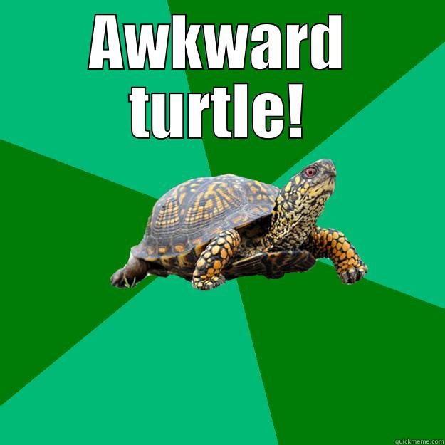 AWKWARD TURTLE!  Torrenting Turtle