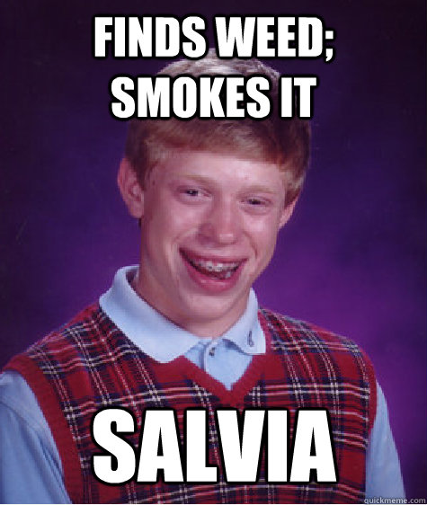 Finds weed; Smokes it Salvia  Bad Luck Brian