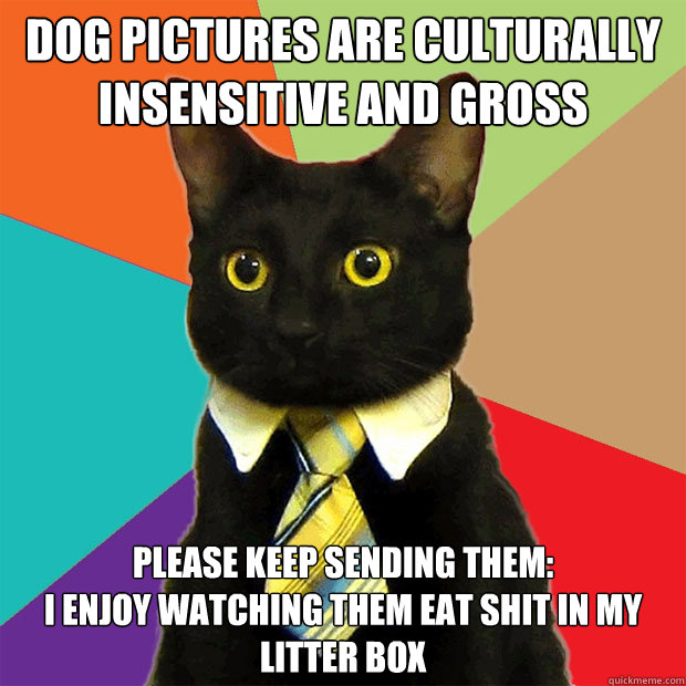 Dog pictures are culturally insensitive and gross please keep sending them: 
i enjoy watching them eat shit in my litter box  Business Cat