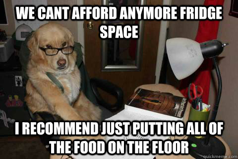 we cant afford anymore fridge space I recommend just putting all of the food on the floor - we cant afford anymore fridge space I recommend just putting all of the food on the floor  Financial Advice Dog