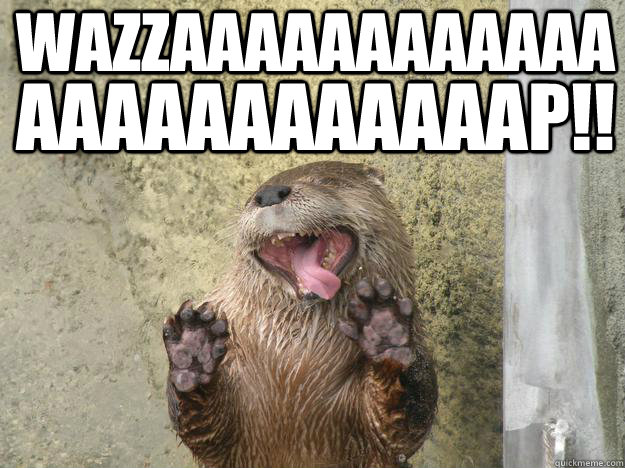 WAZZAAAAAAAAAAAA AAAAAAAAAAAAP!!  Wazzap Otter