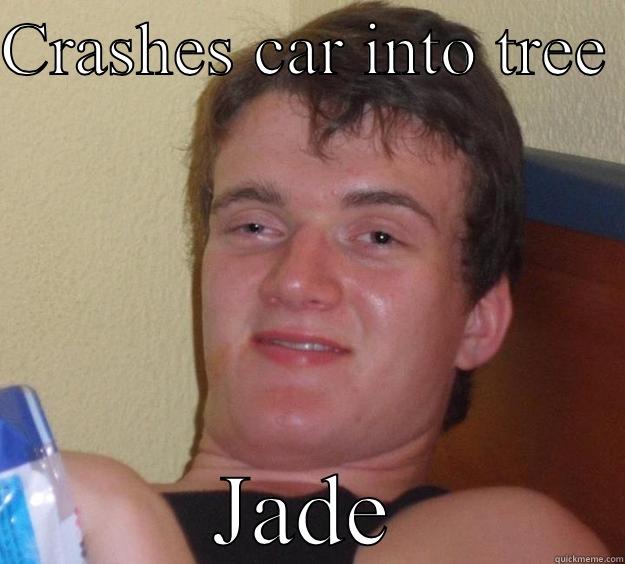 CRASHES CAR INTO TREE  JADE 10 Guy