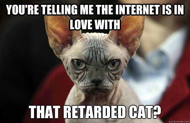 You're telling me the internet is in love with that retarded cat?  insane brilliant cat
