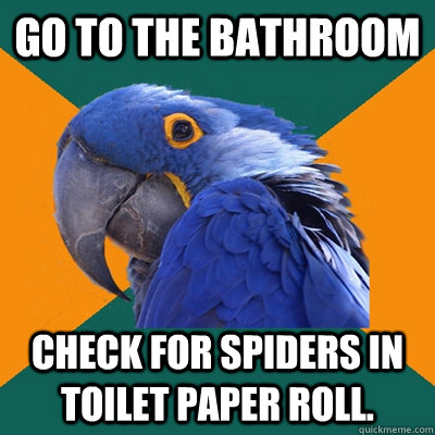 Go to the bathroom Check for spiders in toilet paper roll.  Paranoid Parrot