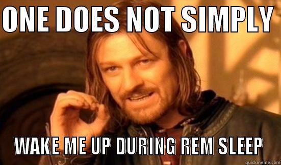 ONE DOES NOT SIMPLY  WAKE ME UP DURING REM SLEEP Boromir
