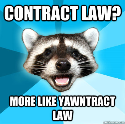 CONTRACT LAW? MORE LIKE YAWNTRACT LAW  Lame Pun Coon